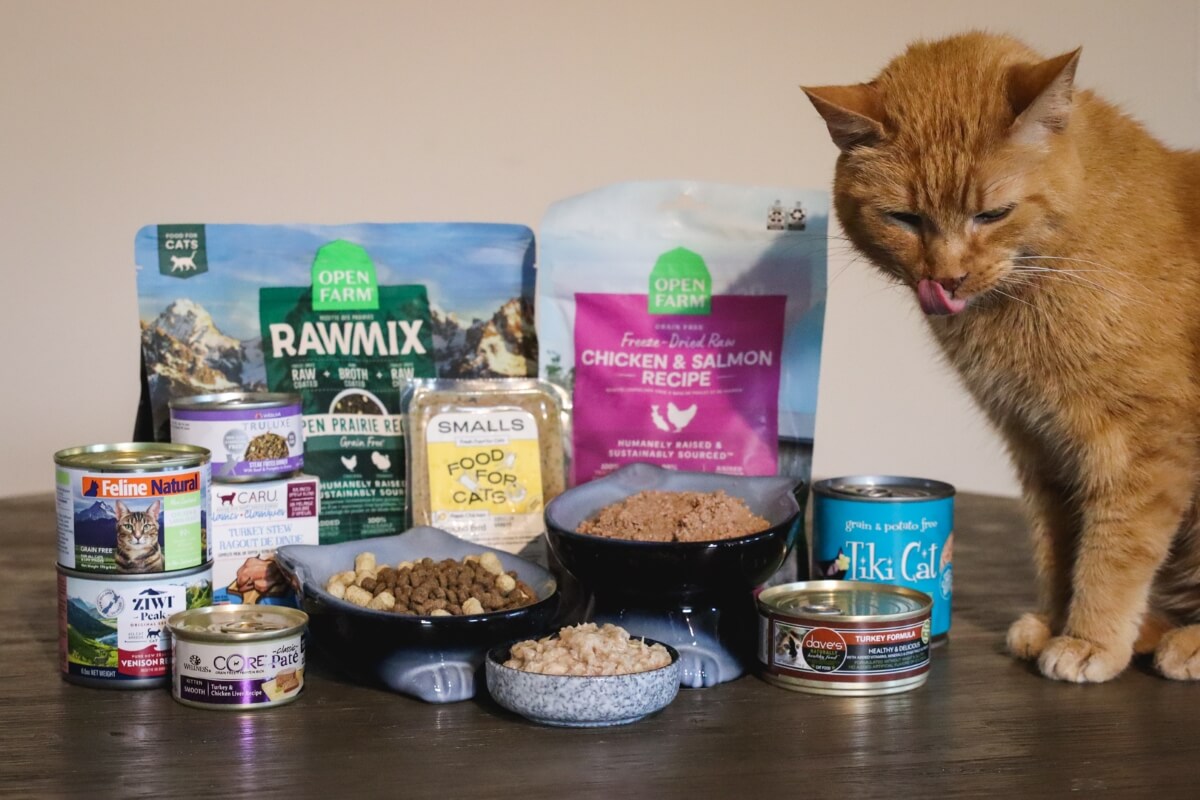 Best Cat Foods