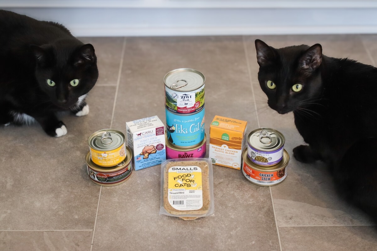 Best Wet Cat Foods