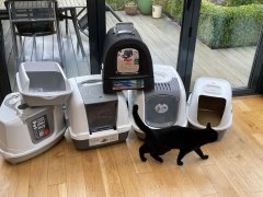 7 Best Cat Litter Boxes In the UK