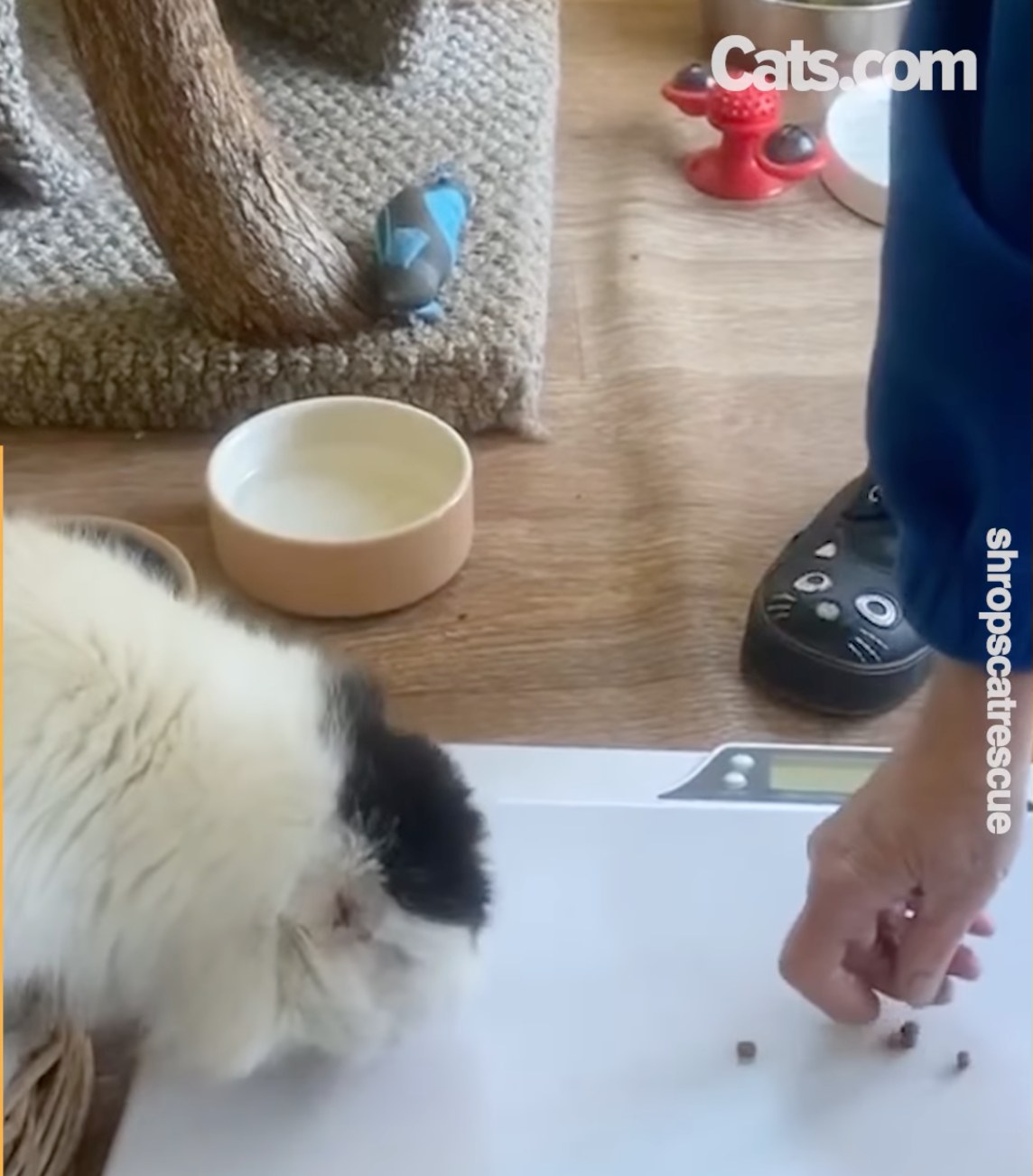 A senior villager enjoys treats at their weekly “weigh-in”