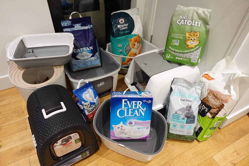 Best cat litter boxes and best cat litter