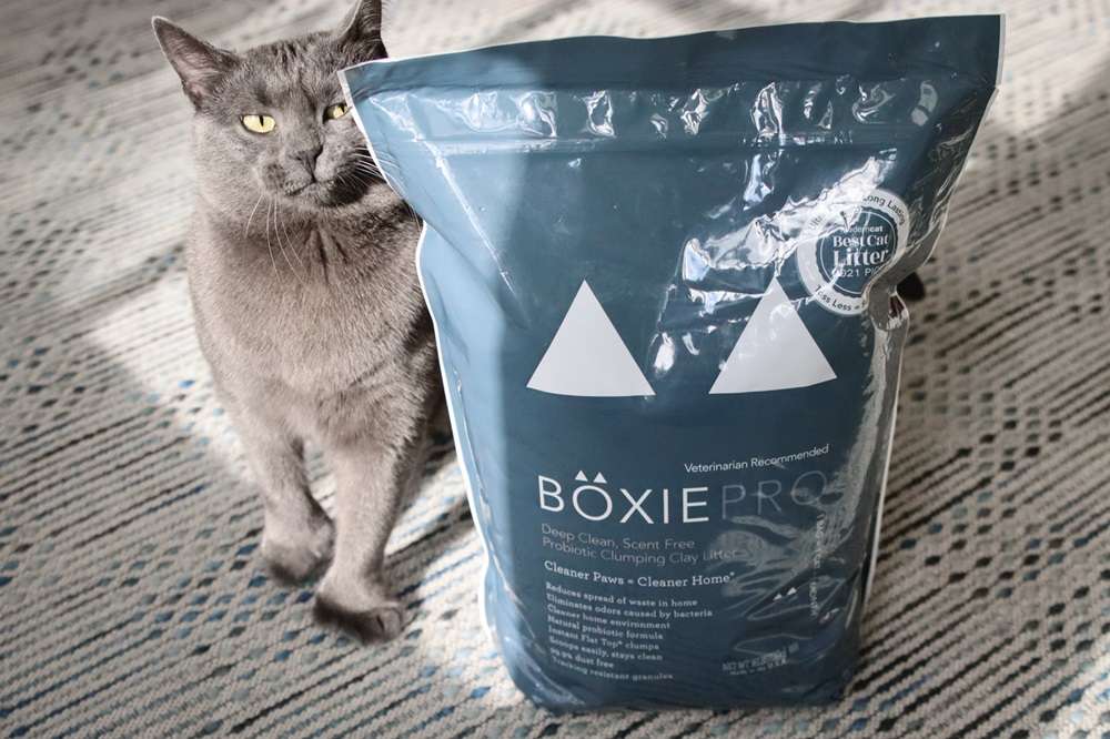 Boxiecat BoxiePro Deep Clean Unscented Clumping Clay Litter