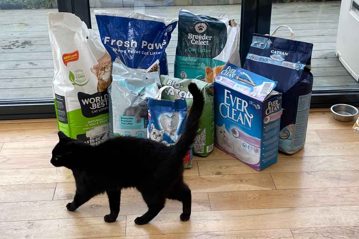 Best Cat Litter in the UK