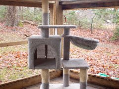 Large cat tree in the corner against windows.