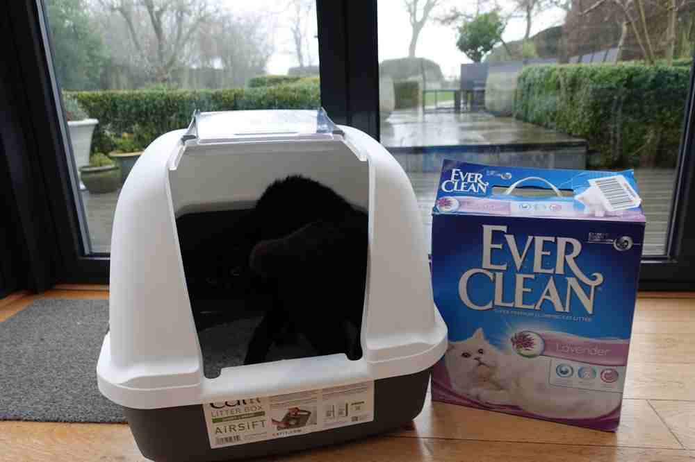 Ever Clean Clumping Cat Litter