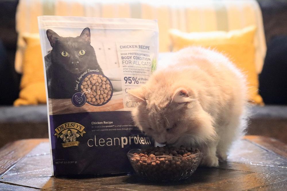 Dr. Elsey's Clean Protein Chicken Recipe Dry Cat Food