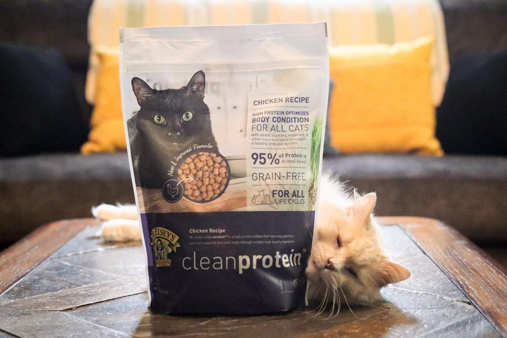 Dr. Elsey's Clean Protein Chicken Recipe Dry Cat Food