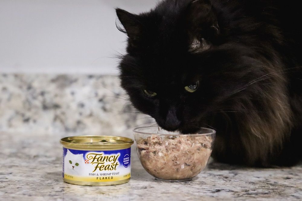 Fancy Feast Flaked Fish & Shrimp Feast Canned Cat Food