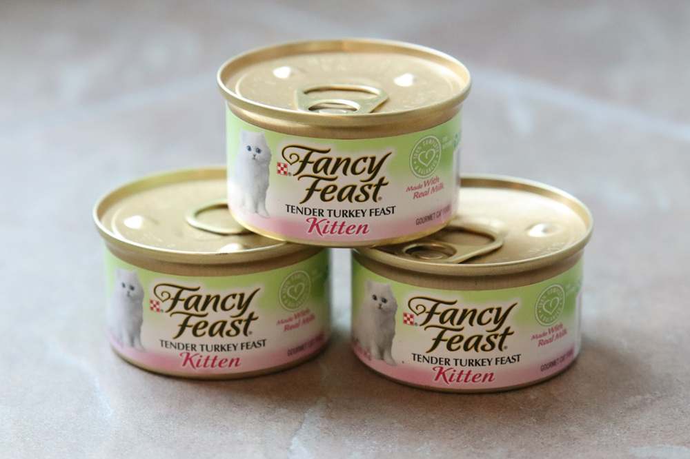 Fancy Feast Kitten Tender Turkey Feast Wet Canned Cat Food