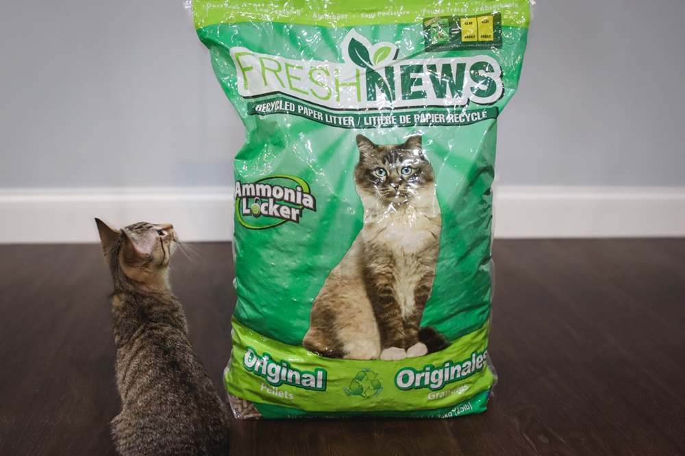 Fresh News Recycled Paper Cat Litter