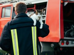 heroic fireman in protective suit and red helmet holds saved cat in his arms