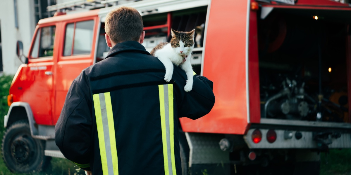 heroic fireman in protective suit and red helmet holds saved cat in his arms