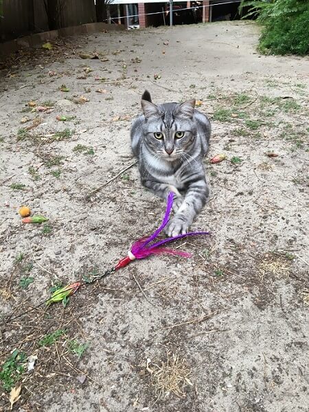 Jose Miguel playing with Da Bird in the garden