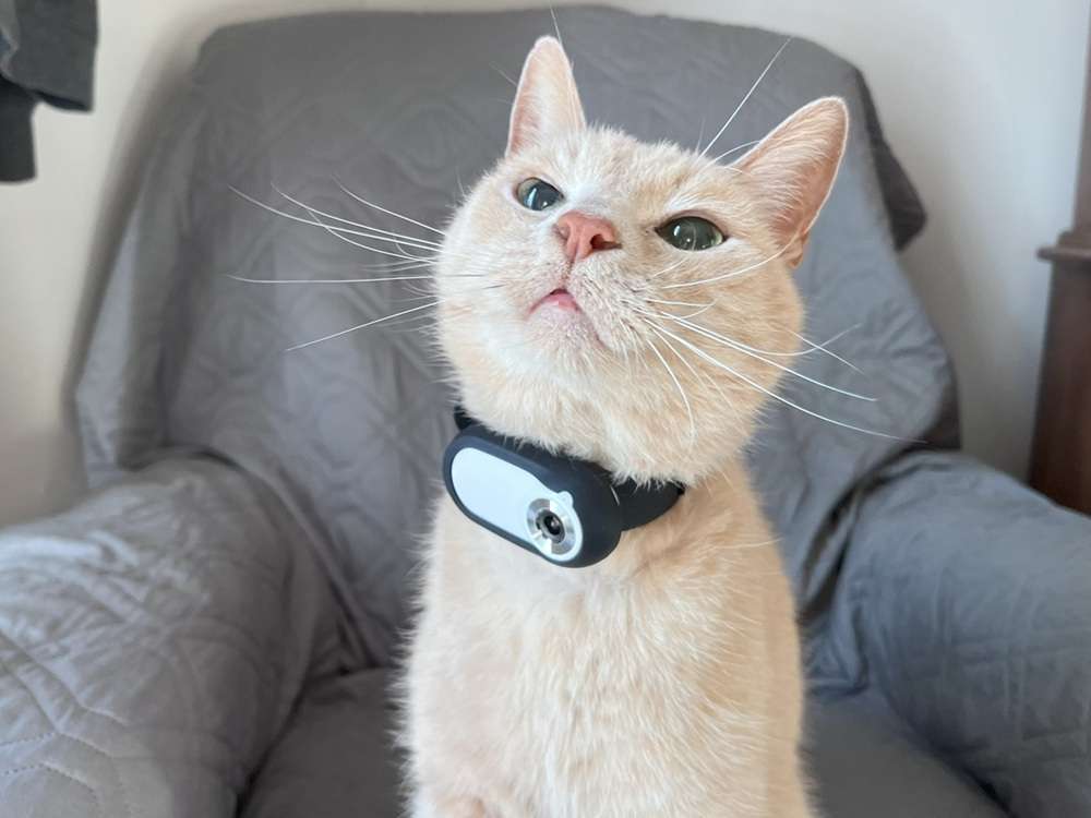 Kestanlora Cat Collar Camera