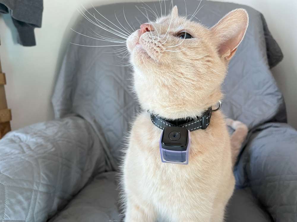 KinetCam Cat Camera Collar