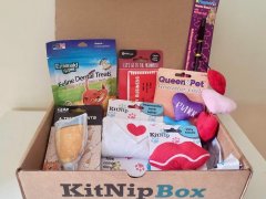 KitNipBox subscription with assorted toys and treats