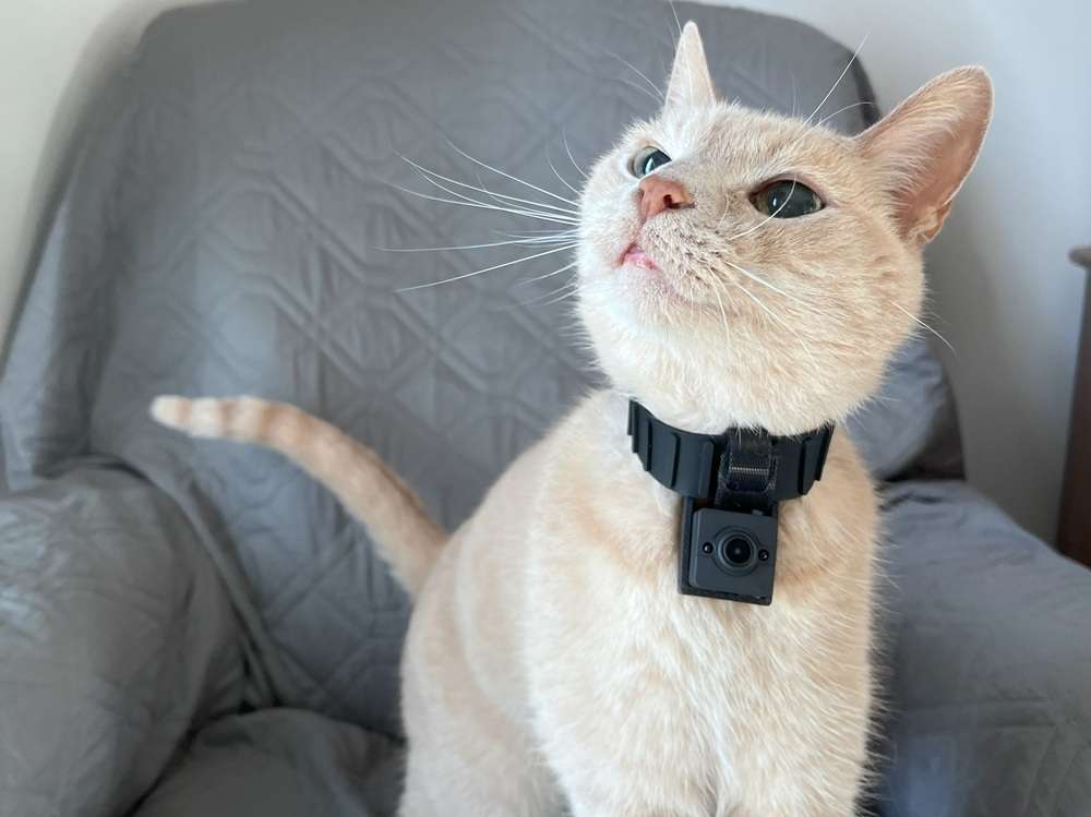 Mr. Petcam Cat Collar Camera