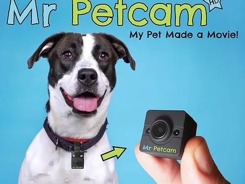 Mr. Petcam Cat Collar Camera