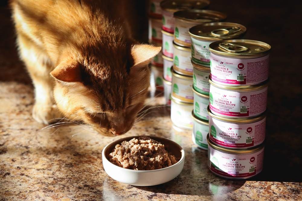 Open Farm Pate Wet Canned Cat Food