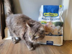 PetSafe ScoopFree Premium Natural Cat Litter