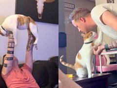 Rescue Cat Follows His Dad Everywhere