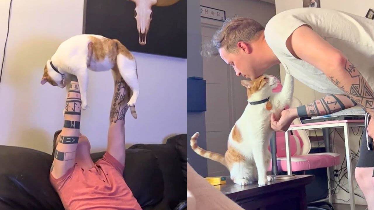 Rescue Cat Follows His Dad Everywhere