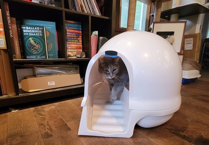 Petmate Booda Clean Step Cat Litter Box Dome