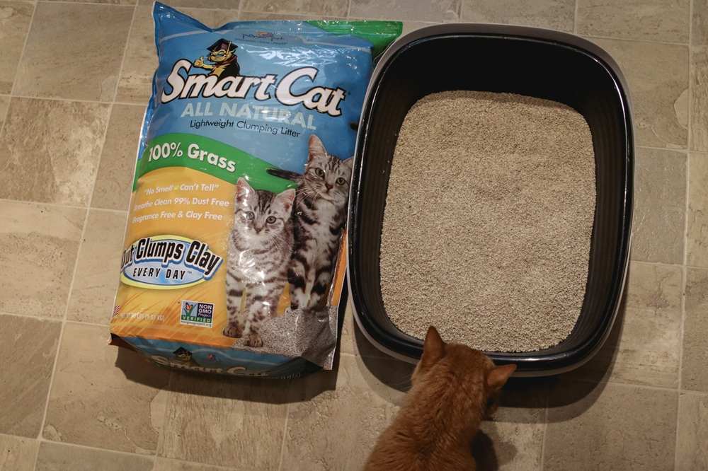 Smart Cat All Natural Lightweight Clumping Grass Litter-7