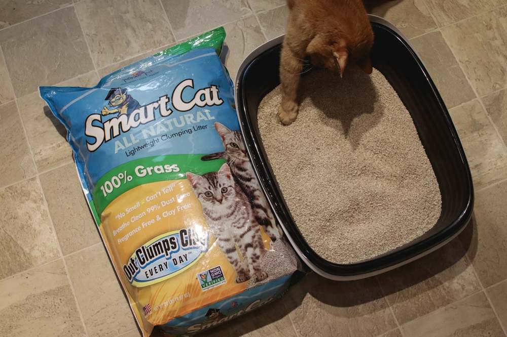 Smart Cat All Natural Lightweight Clumping Grass Litter