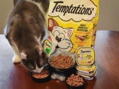 Temptations Cat Food featured images