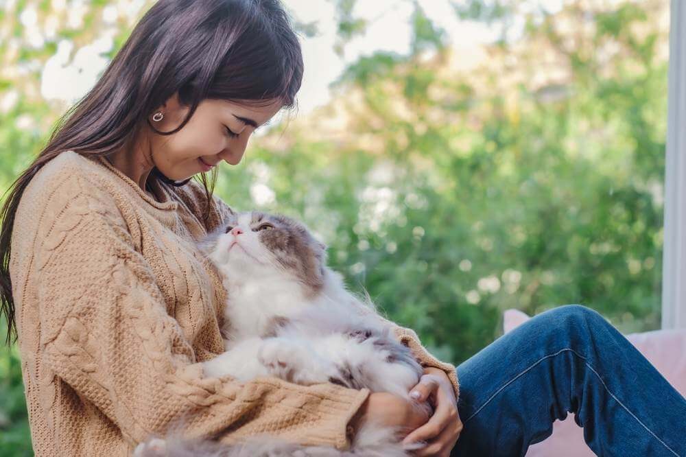 The owner-cat relationship can impact behavior concerns.