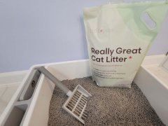 Tuft + Paw Really Great Cat Litter