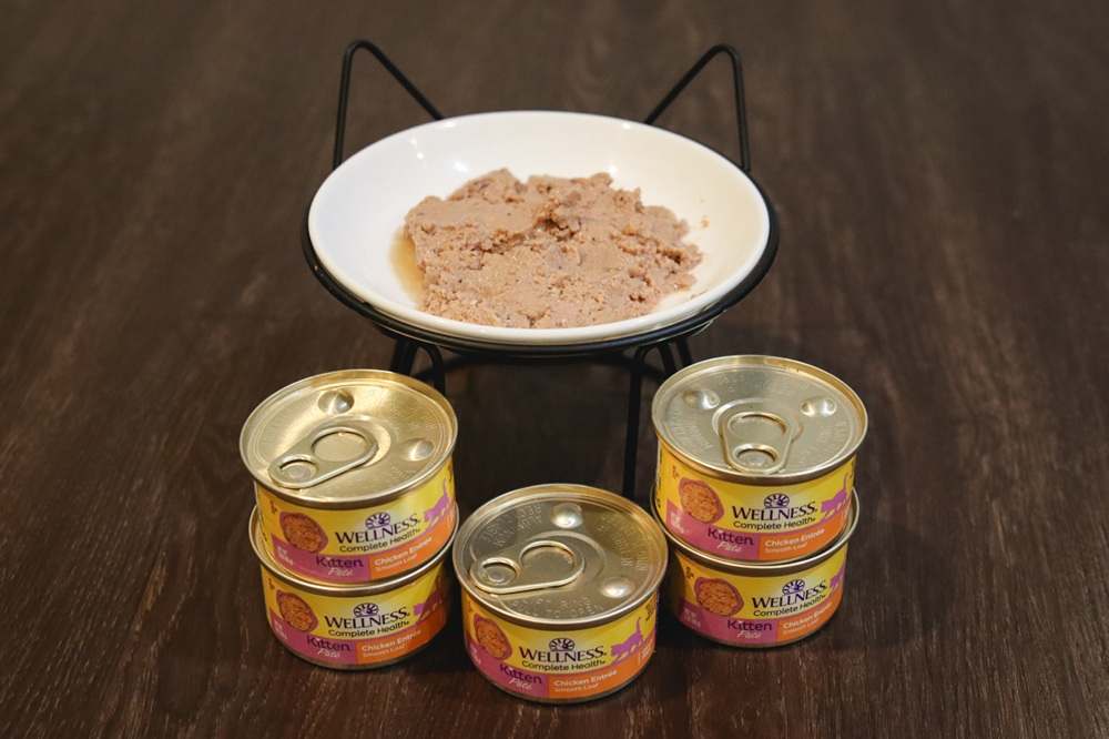 Wellness Complete Health Chicken Entree Smooth Loaf Kitten Pate Wet Canned Food