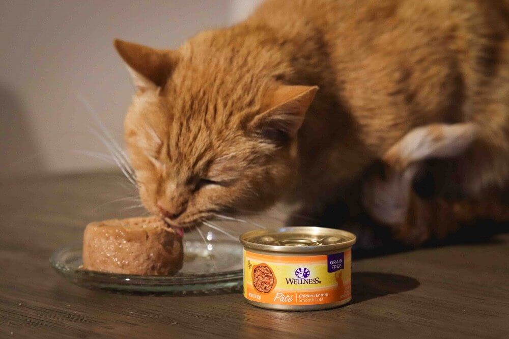 Wellness Complete Health Pate Chicken Entree Grain-Free Canned Cat Food..