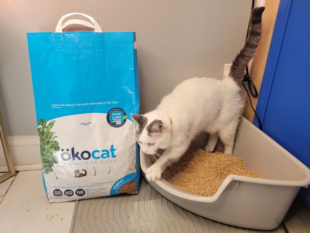 A cat enjoying Ökocat natural litter.