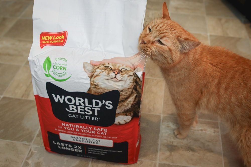 World's Best Cat Litter Multiple Cat Unscented