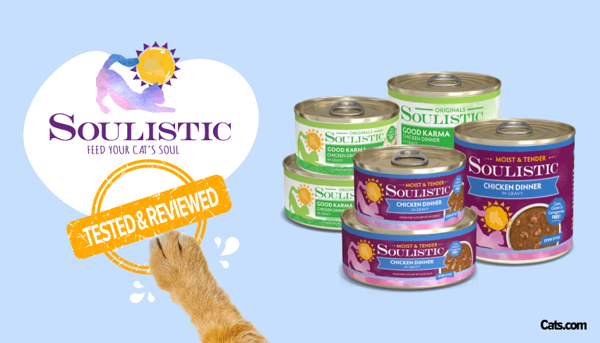 Soulistic cat food